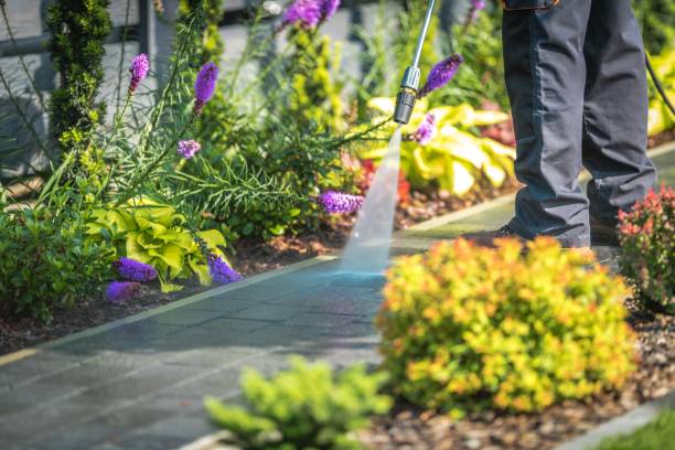 Professional Pressure Washing Services in Harbor Bluffs, FL