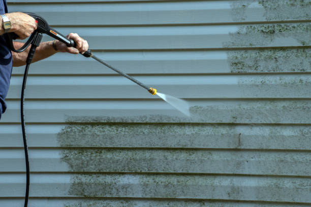 Best Rust Removal  in Harbor Bluffs, FL